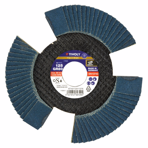 Disque LAMELLES ZIRCONIUM ajourées (Cartonnette brochable) / Dim 125 / Gr : 80 - TIVOLY - ponçage - Référence: XT10112011376 - Image principale - Outil professionnel