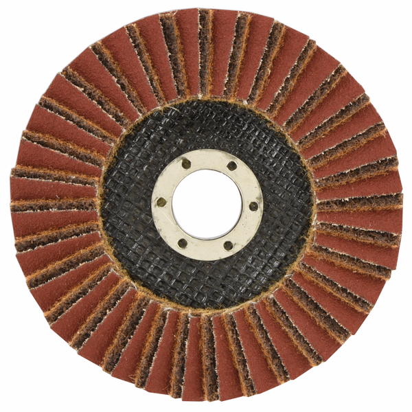 COMBINATION FLAP disc (Hanging cardboard) / Dim Ø125 / Gr :  - TIVOLY - sanding - Reference: XT10112011361 - Image principale - Professional Tool