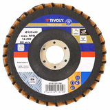 COMBINATION FLAP disc (Hanging cardboard) / Dim Ø125 / Gr :  - TIVOLY - sanding - Reference: XT10112011361 - Vue 4 - Professional Tool
