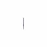 Ø: 29 / L: 351 / Morse taper HSS metal drill bit -STEAM treatment -DIN341 -h8 -Long series -Conventional point (Tube) - TIVOLY - drilling - Reference: 11411012900 - Vue 2 - Professional Tool