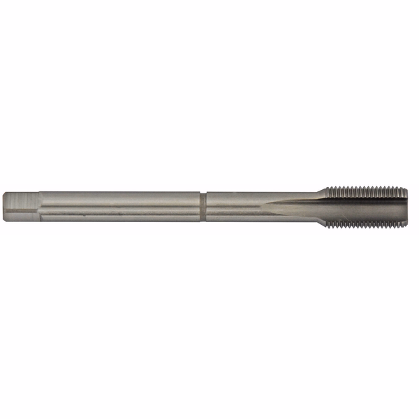 Standard machine tap HSS-E5 (cobalt 5%) -BSP G -DIN 5156 -Straight (Unit packaging) / Ø: 1"-5/8 X 11 - TIVOLY - tapping - Reference: 963301110580110 - Image principale - Professional Tool