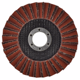 COMBINATION FLAP disc (Hanging cardboard) / Dim Ø115 / Gr : 80 - TIVOLY - sanding - Reference: XT10112011350 - Vue 1 - Professional Tool