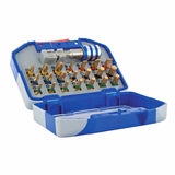 22 pieces - 21 diamond torsion bits + 1 magnetic Quick-Change bit holder  - TIVOLY - screwdriving - Reference: 11521572005 - Vue 5 - Professional Tool